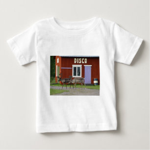 DE HERTEN VAN DE DISCO