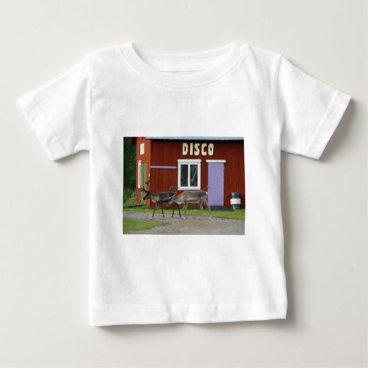 DE HERTEN VAN DE DISCO (Voorkant)