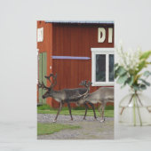 DE HERTEN VAN DE DISCO BRIEFPAPIER (Staand voorkant)