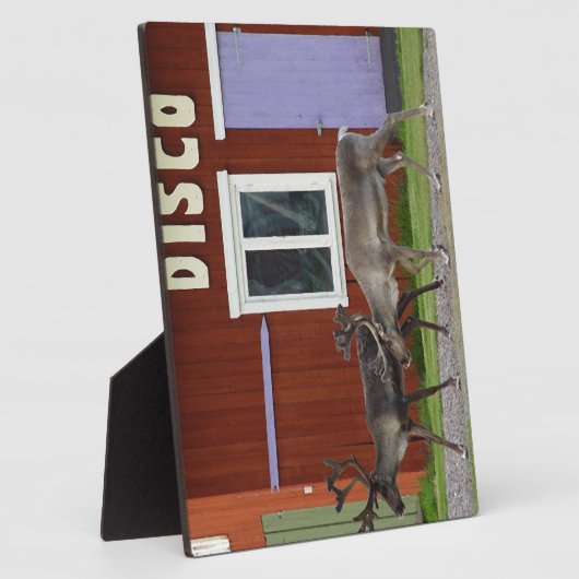 DE HERTEN VAN DE DISCO FOTOPLAAT (Zijkant)
