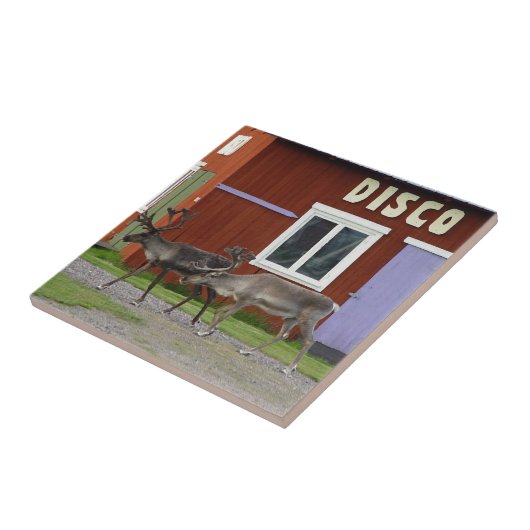 DE HERTEN VAN DE DISCO TEGELTJE (Zijkant)
