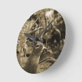 De Herten van de trofee Ronde Klok (Hoek)