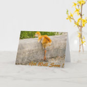 De het babyvogel van Sandhill WORDT GOED SPOEDIG Kaart (Gele Bloem)