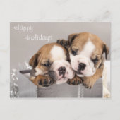 De het Engelse puppy en giften van de Buldog Feestdagenkaart (Voorkant)