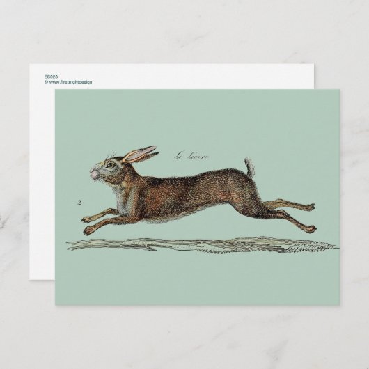 De het Rennen Hazen in Pasen Feestdagenkaart (Voorkant / Achterkant)