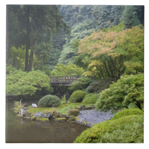 De het Strollen Pond met de Brug van de Maan Tegeltje