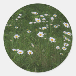 De heuvel van Daisies Ronde Sticker