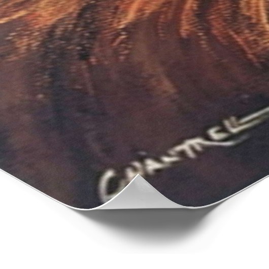 de heuvels hebben ogen origineel 1977 poster (Hoek)