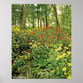 De heuvels zijn levend met wilde bloemen poster (Voorkant)