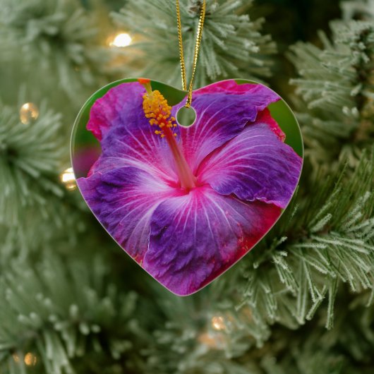 De hibiscus bloeit Ceramisch Ornament (Boom)