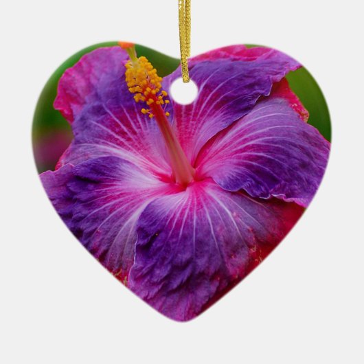 De hibiscus bloeit Ceramisch Ornament (Voorkant)