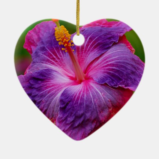 De hibiscus bloeit Ceramisch Ornament (Achterkant)