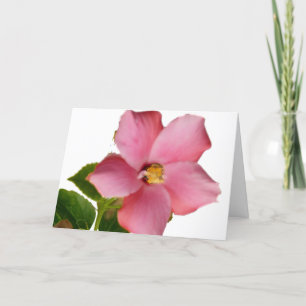De hibiscus dankt u kaardt in het Frans Bedankkaart
