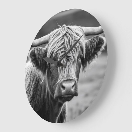 De Highland koe Grote Klok (Hoek)