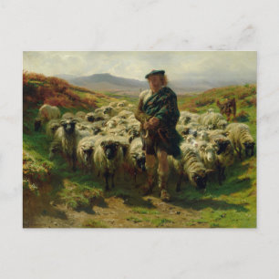 De Highland Shepherd van Rosa Bonheur Ansichtkaart Briefkaart