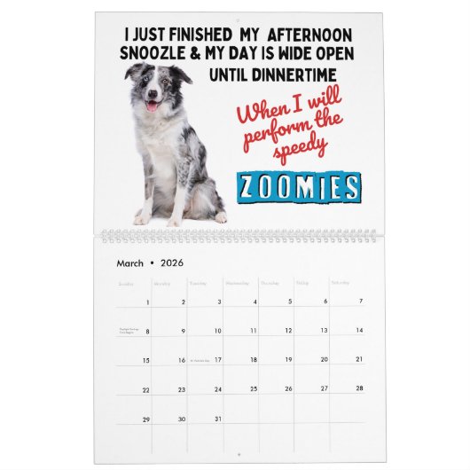 De hilarische gedachten van mijn Australische herd Kalender (Mar 2026)