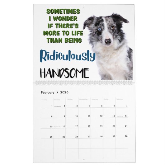 De hilarische gedachten van mijn Australische herd Kalender (Feb 2026)