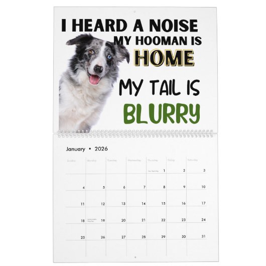 De hilarische gedachten van mijn Australische herd Kalender (Jan 2026)