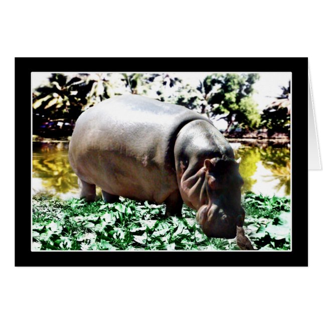 De hippo en de vogel (Voorkant Horizontaal)