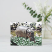 De hippo en de vogel briefkaart (Staand voorkant)