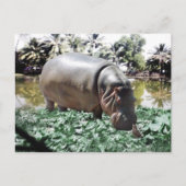 De hippo en de vogel briefkaart (Voorkant)