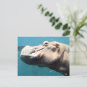 De Hippo-postkaart Briefkaart (Staand voorkant)