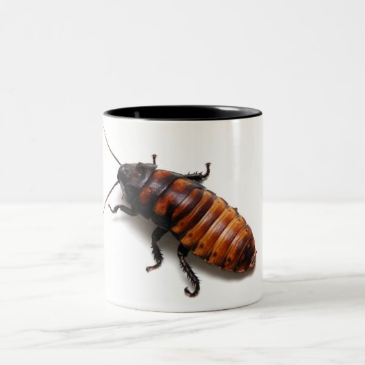 De Hisser uitlijnen Tweekleurige Koffiemok (Center)