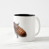 De Hisser uitlijnen Tweekleurige Koffiemok (Voorkant rechts)