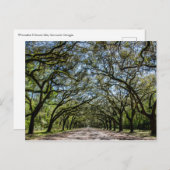 De Historische Plaats van Wormsloe, Savanne Briefkaart (Voorkant / Achterkant)