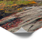 De historische rist Mill op Glade Creek Poster (Hoek)