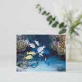 DE HOE IN HET BRIEFKAART VAN DE WAL (Staand voorkant)