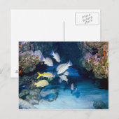 DE HOE IN HET BRIEFKAART VAN DE WAL (Voorkant / Achterkant)