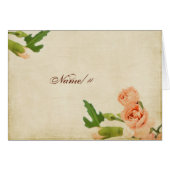 De Hoeken van de Anjer van de Perzik van de (Voorkant Horizontaal)