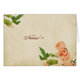 De Hoeken van de Anjer van de Perzik van de