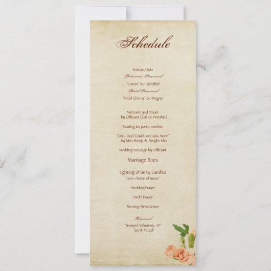 De Hoeken van de Anjer van de Perzik van de Kaart (Achterkant)