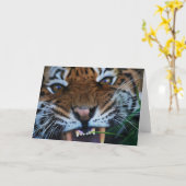 De Hoektanden van de tijger sluiten OMHOOG Kaart (Gele Bloem)