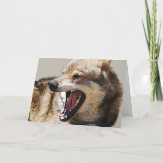 De Hoektanden van de wolf Feestdagen Kaart (Voorkant)