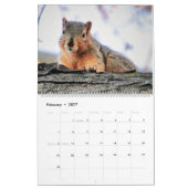 De Hoesje Eekhoorns 2020-kalender Kalender (Feb 2027)