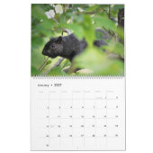 De Hoesje Eekhoorns 2020-kalender Kalender (Jan 2027)