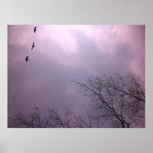 De hoge opkomst is onze natuur - Toronto Island Sk Poster