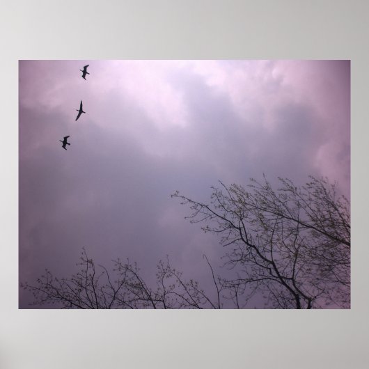 De hoge opkomst is onze natuur - Toronto Island Sk Poster (Voorkant)