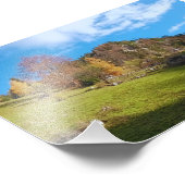 De Hoge Weide - Wilde Natuur Roemenië Foto Afdruk (Hoek)