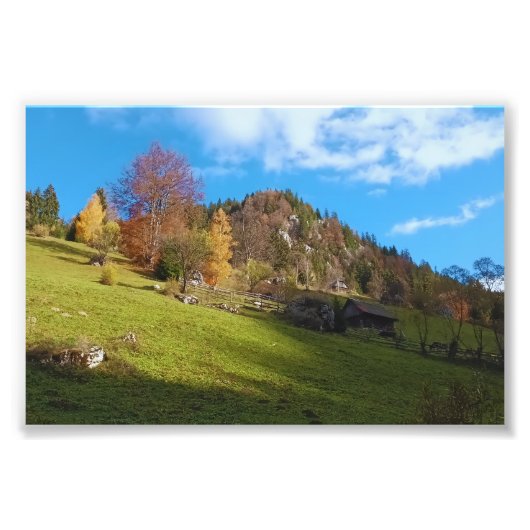 De Hoge Weide - Wilde Natuur Roemenië Foto Afdruk (Voorkant)