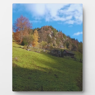 De Hoge Weide - Wilde Natuur Roemenië Fotoplaat