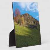 De Hoge Weide - Wilde Natuur Roemenië Fotoplaat (Zijkant)