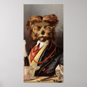 De hogere klasse Hond Poster