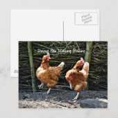 De Hokey Pokey doen, De Hokey Pokey Kippen Briefkaart (Voorkant / Achterkant)