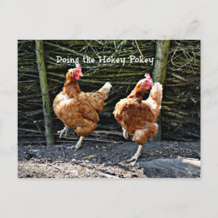 De Hokey Pokey doen, De Hokey Pokey Kippen Briefkaart