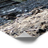 De Hokey Pokey doen, De Hokey Pokey Kippen, Poster (Hoek)