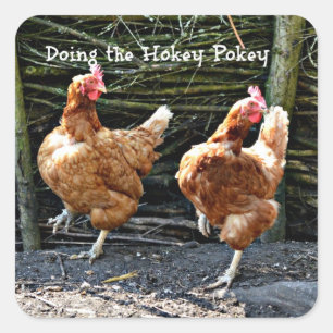 De Hokey Pokey doen, Vierkante Sticker